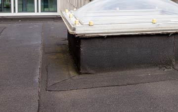 disadvantages of Abereiddy flat roofs