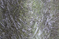 Abereiddy fibreglass roof work